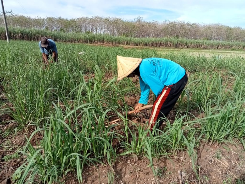 WhatsApp Image 2021-06-29 at 13.11.52