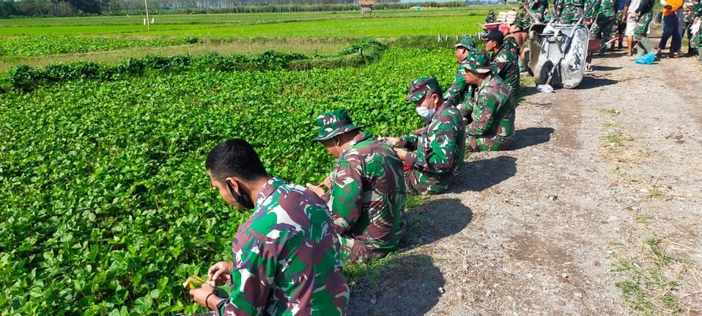 WhatsApp Image 2021-06-29 at 13.12.41