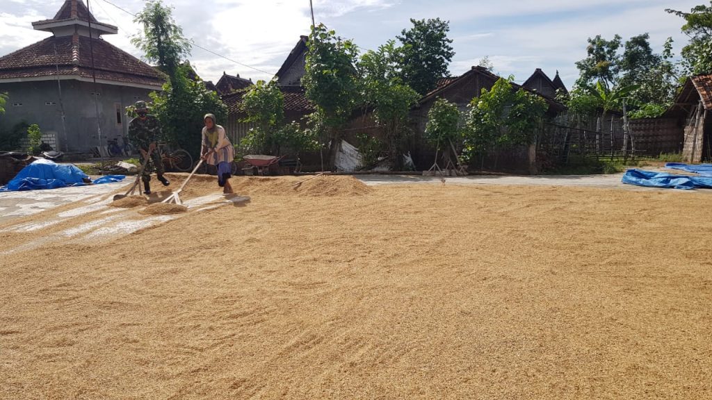 WhatsApp Image 2021-06-29 at 13.13.02