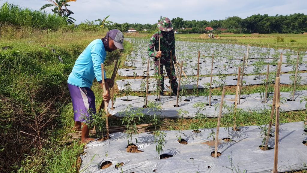 WhatsApp Image 2021-06-29 at 13.13.04