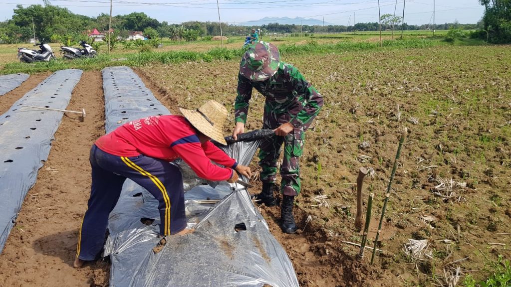 WhatsApp Image 2021-06-29 at 13.13.05