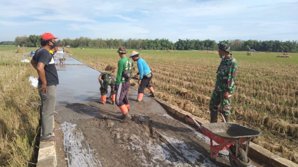 WhatsApp Image 2021-06-29 at 13.13.13