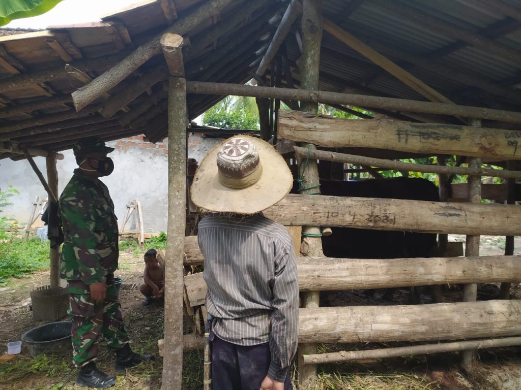 WhatsApp Image 2021-06-29 at 13.14.53