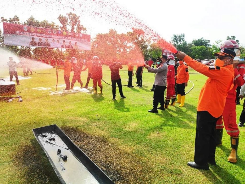 WhatsApp Image 2021-06-29 at 22.24.29