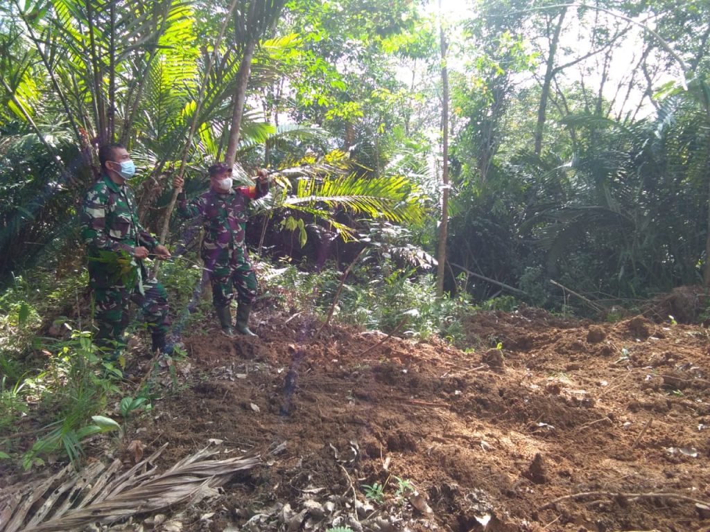 WhatsApp Image 2021-06-30 at 05.22.24