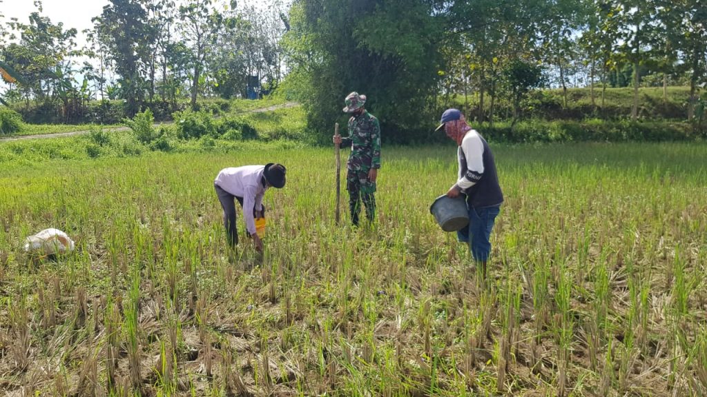 WhatsApp Image 2021-06-30 at 14.11.19(1)