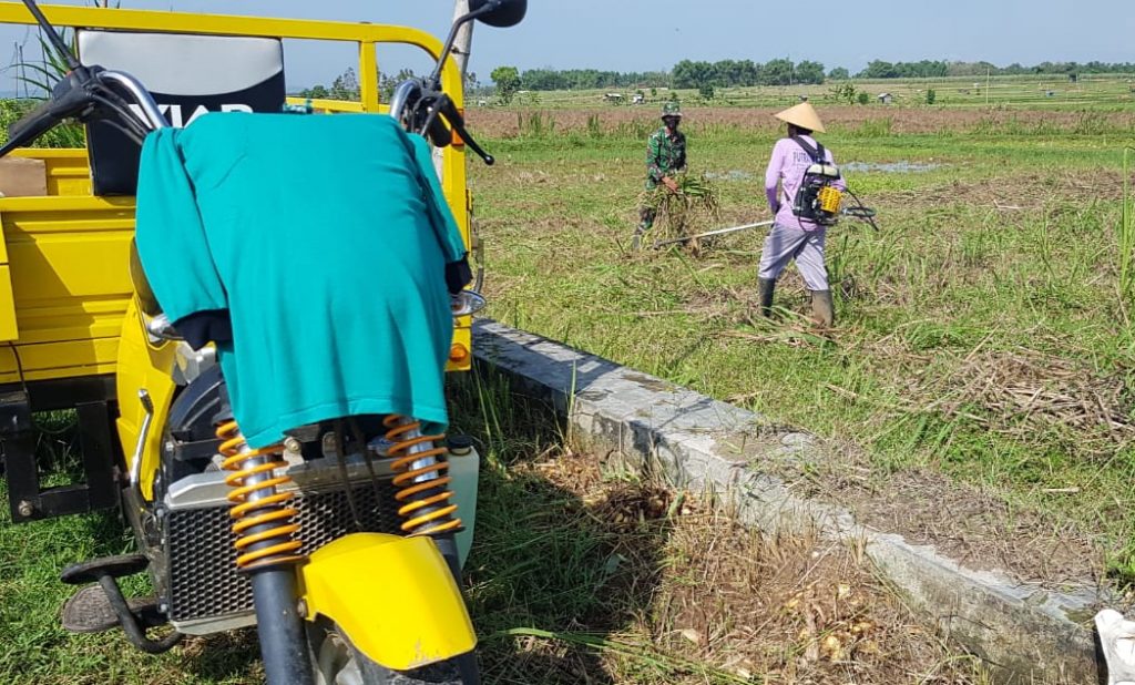 WhatsApp Image 2021-06-30 at 14.11.55