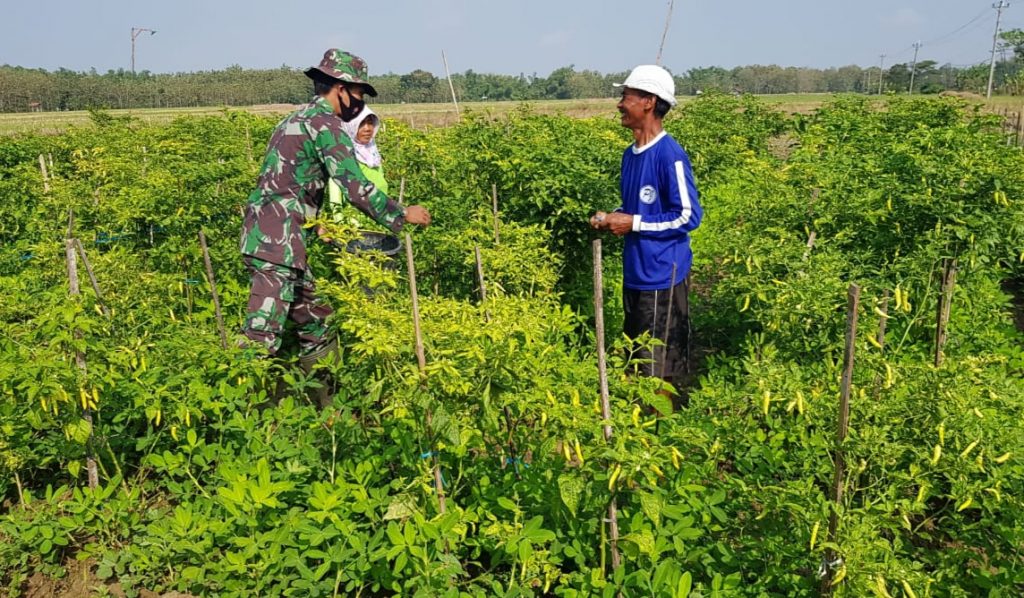 WhatsApp Image 2021-06-30 at 14.12.06