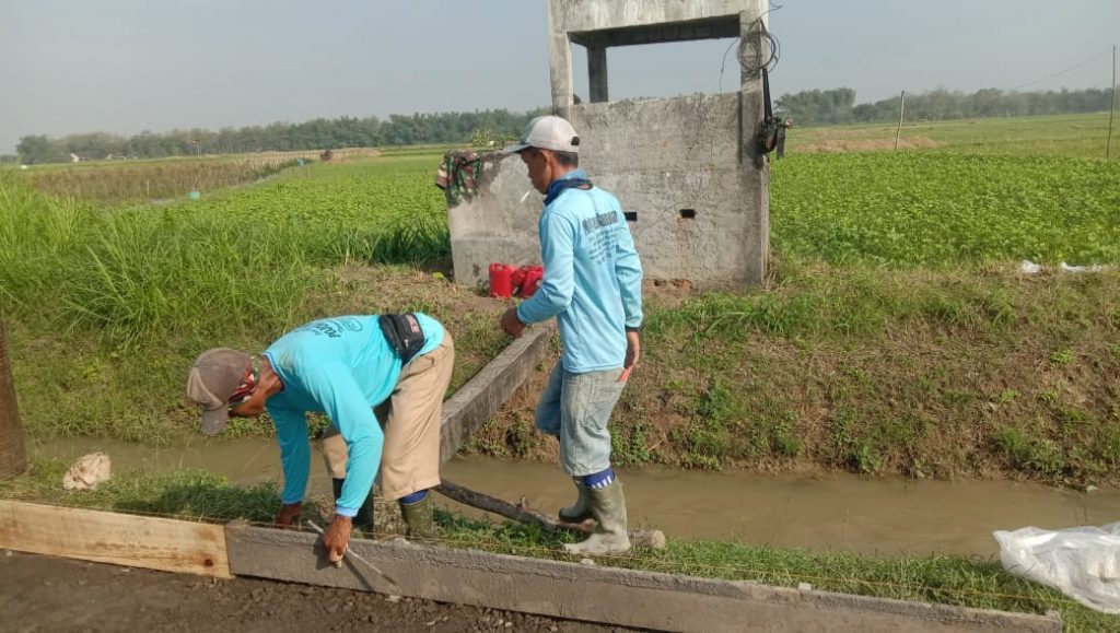 WhatsApp Image 2021-06-30 at 14.13.04