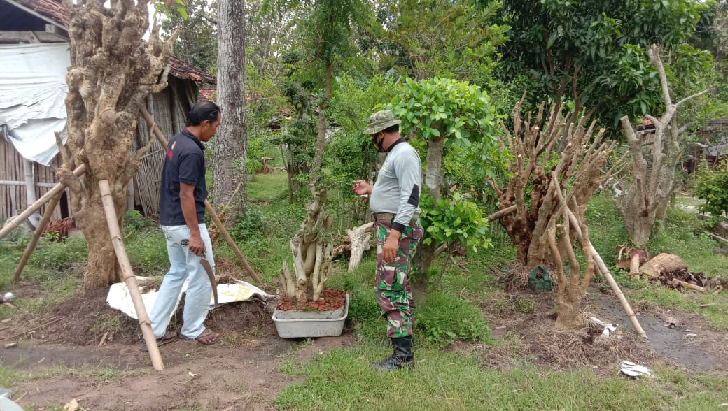 WhatsApp Image 2021-06-30 at 14.13.16