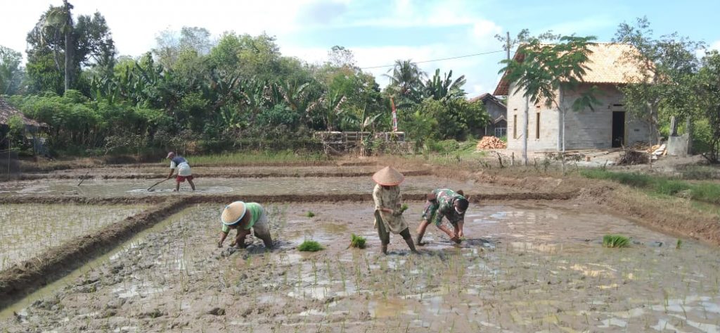 WhatsApp Image 2021-06-30 at 15.09.56