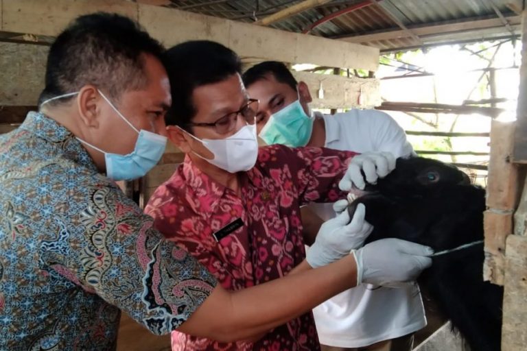 IMG-20210716-WA0018-930x620