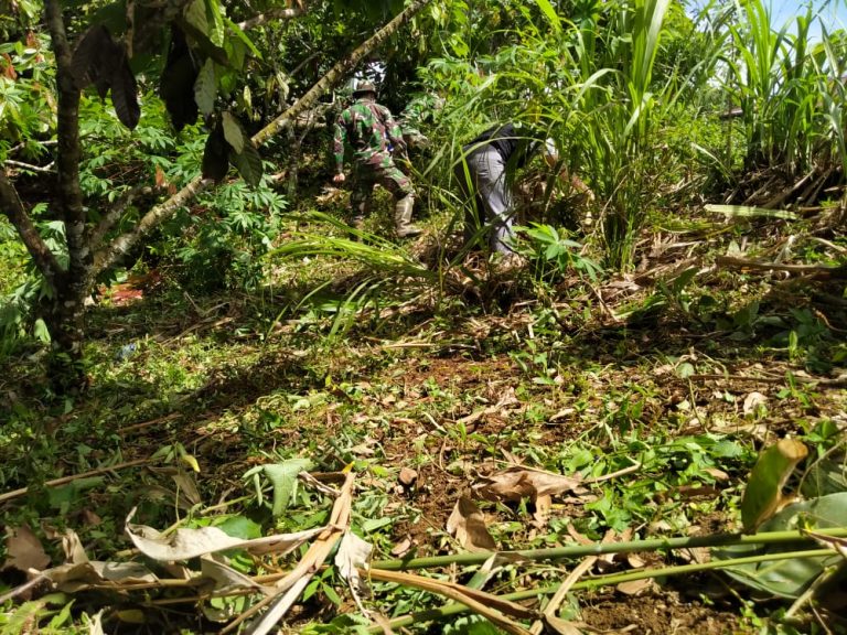 WhatsApp Image 2021-07-01 at 06.16.44