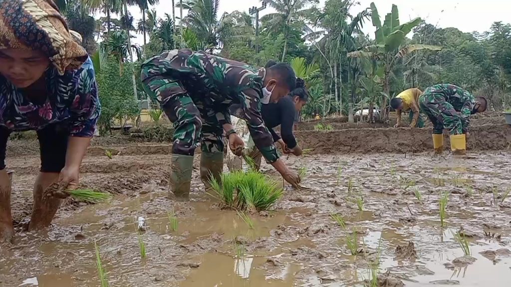 WhatsApp Image 2021-07-01 at 06.17.18