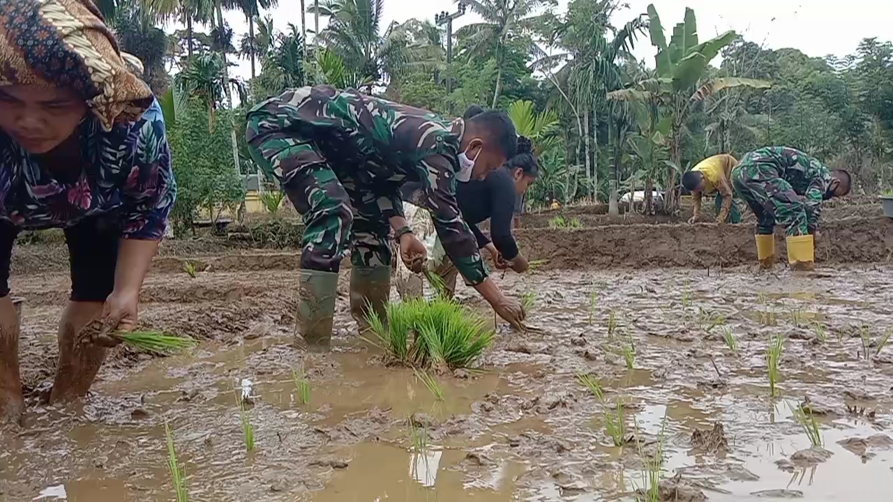 WhatsApp Image 2021-07-01 at 06.17.18