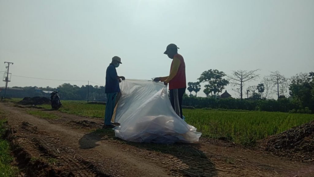 WhatsApp Image 2021-07-01 at 14.24.58