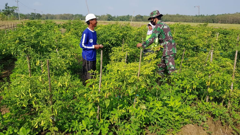 WhatsApp Image 2021-07-01 at 14.25.14