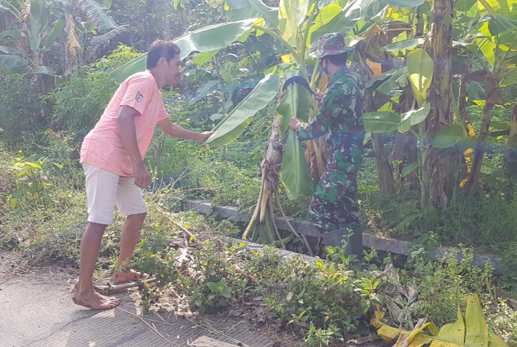 WhatsApp Image 2021-07-01 at 14.25.23