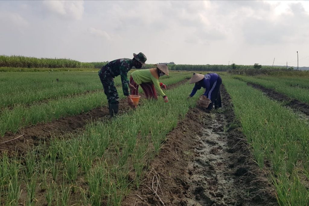 WhatsApp Image 2021-07-01 at 14.26.33