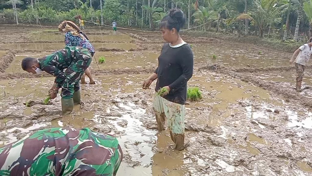 WhatsApp Image 2021-07-02 at 07.29.14