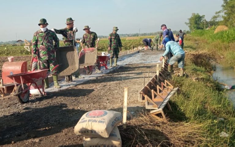 WhatsApp Image 2021-07-02 at 11.29.38