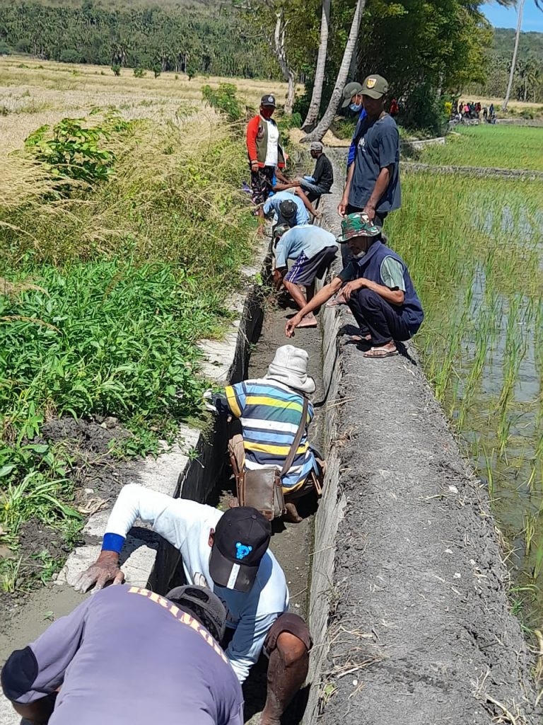 WhatsApp Image 2021-07-02 at 17.48.49