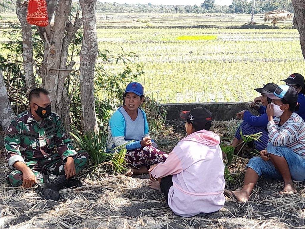 WhatsApp Image 2021-07-02 at 17.49.48