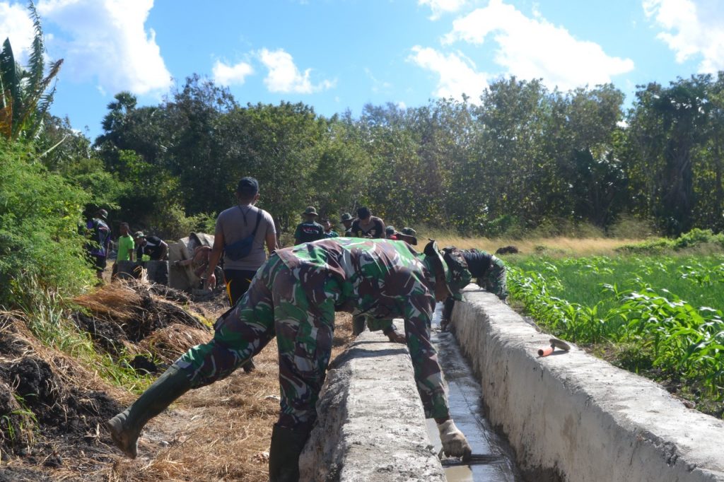 WhatsApp Image 2021-07-02 at 18.02.08