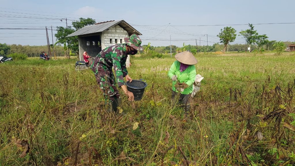 WhatsApp Image 2021-07-03 at 11.35.51