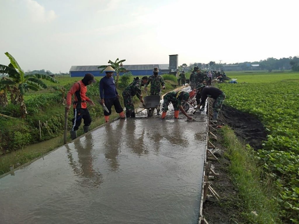 WhatsApp Image 2021-07-03 at 11.36.29