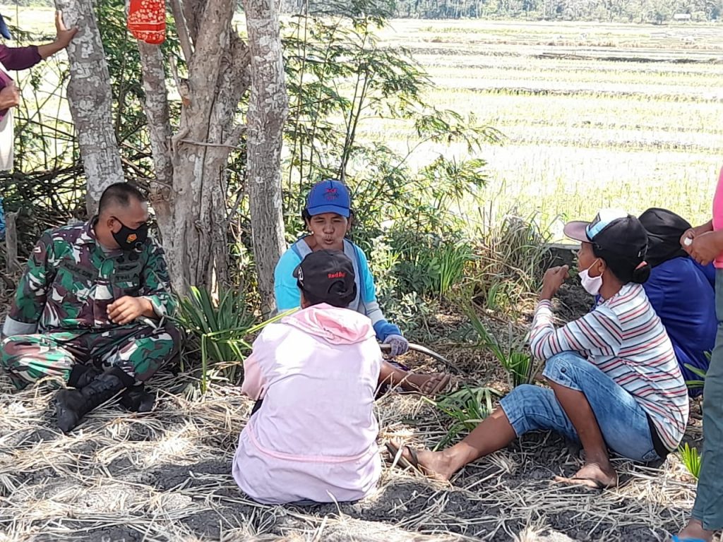 WhatsApp Image 2021-07-03 at 16.44.35