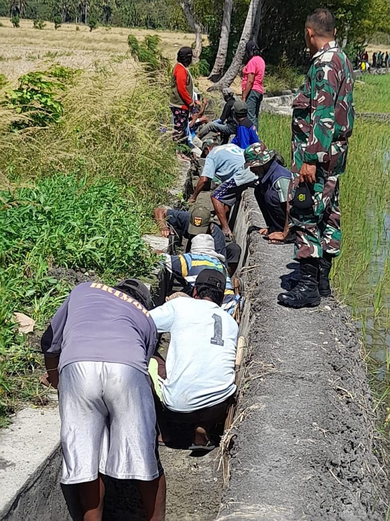 WhatsApp Image 2021-07-03 at 16.46.54