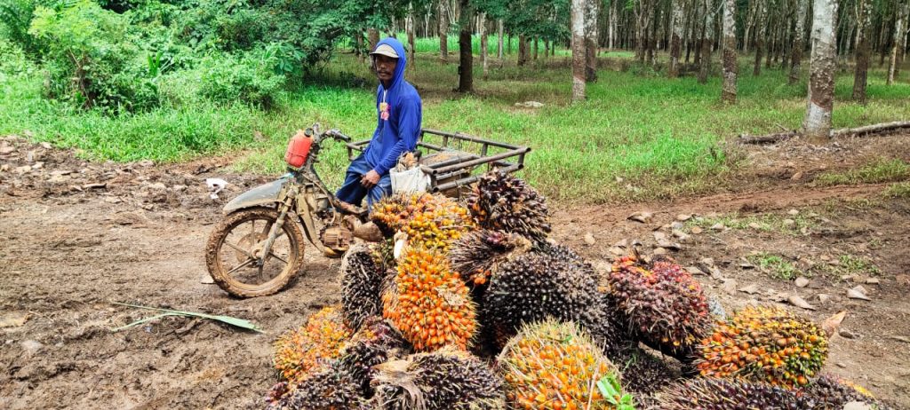 WhatsApp Image 2021-07-03 at 17.41.13(1)