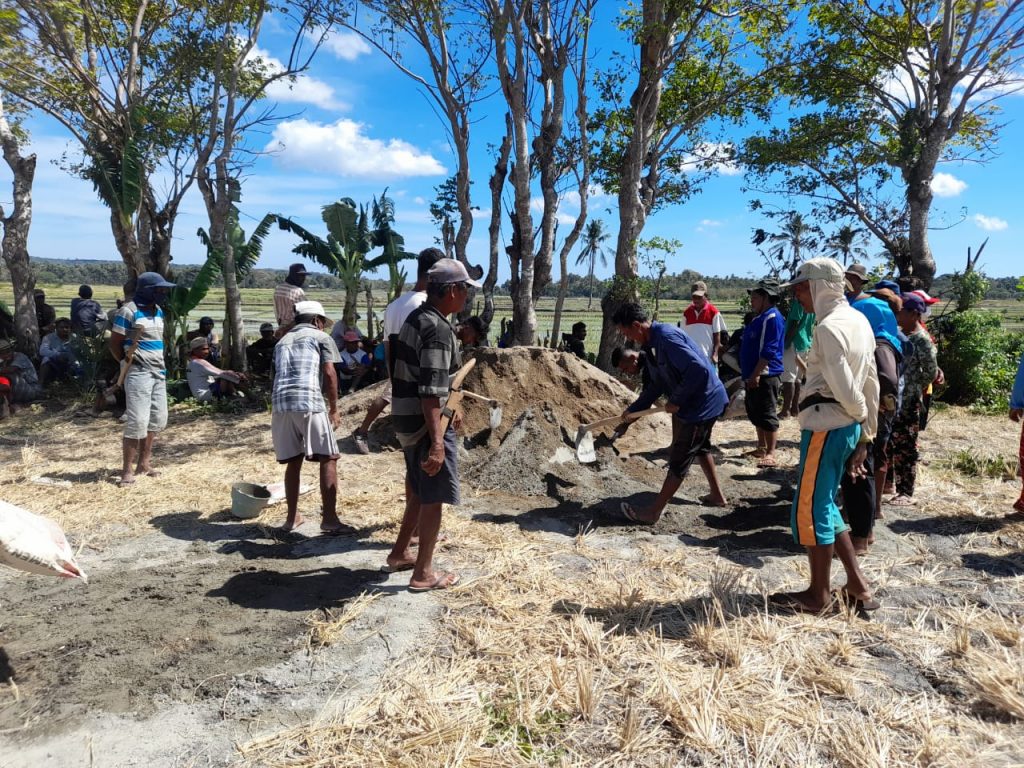 WhatsApp Image 2021-07-04 at 19.41.50