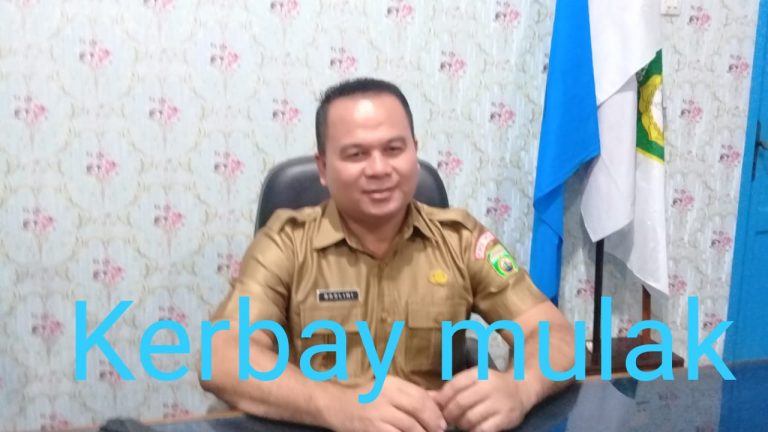 WhatsApp Image 2021-07-04 at 19.47.08