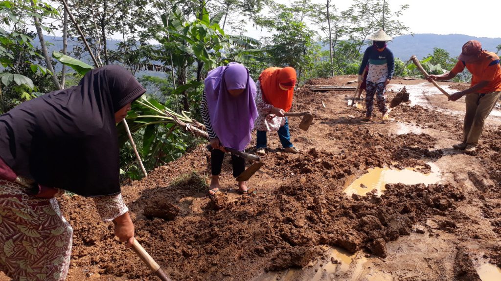 WhatsApp Image 2021-07-04 at 23.44.12