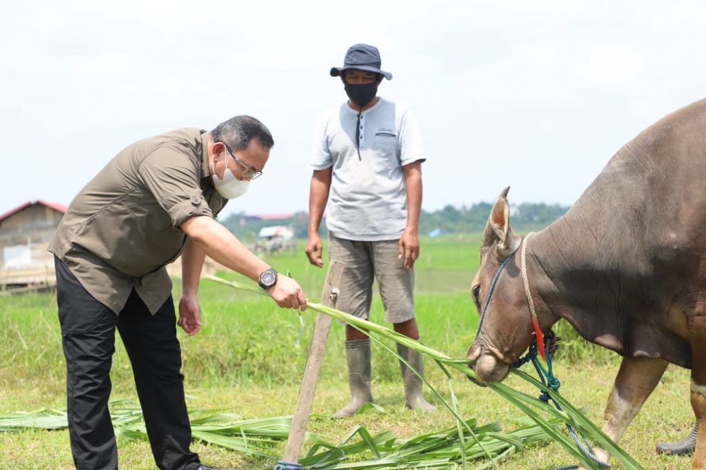 WhatsApp Image 2021-07-05 at 05.19.56