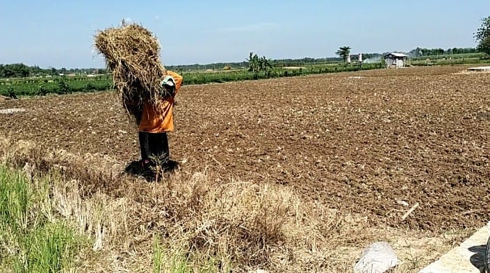 WhatsApp Image 2021-07-05 at 13.44.10