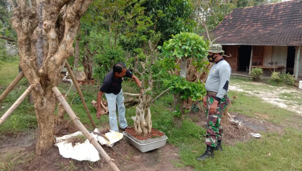 WhatsApp Image 2021-07-05 at 13.44.29