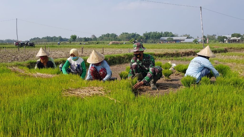 WhatsApp Image 2021-07-05 at 13.45.01