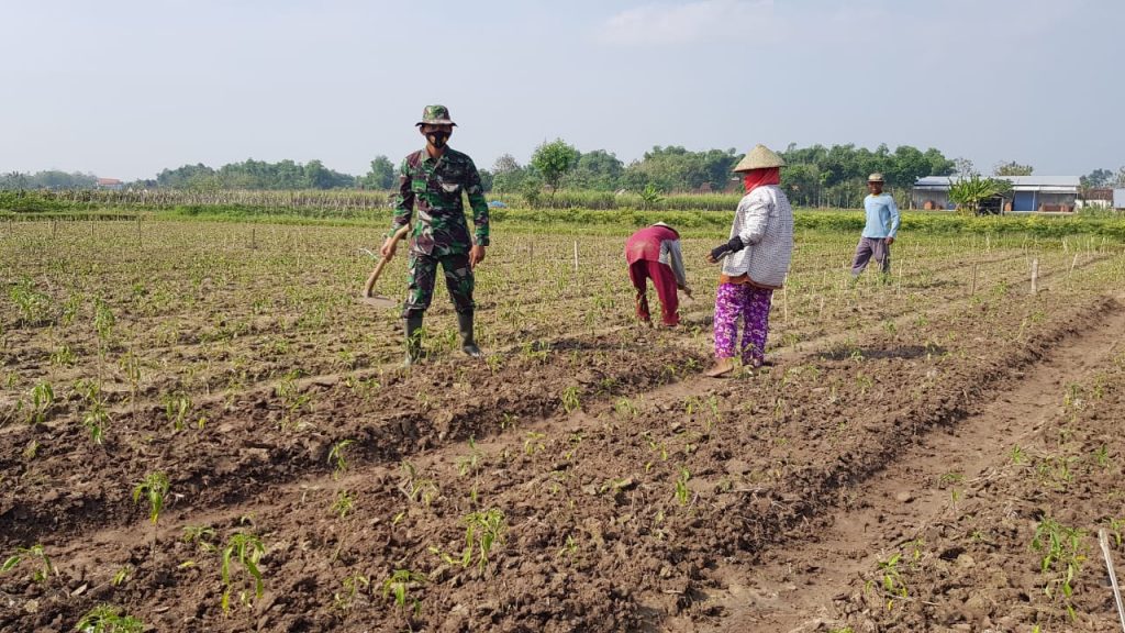 WhatsApp Image 2021-07-05 at 13.45.02