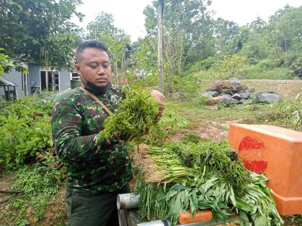 WhatsApp Image 2021-07-06 at 00.22.01