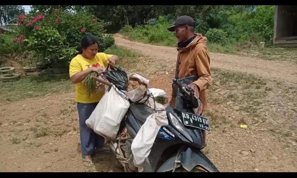 WhatsApp Image 2021-07-06 at 00.22.21