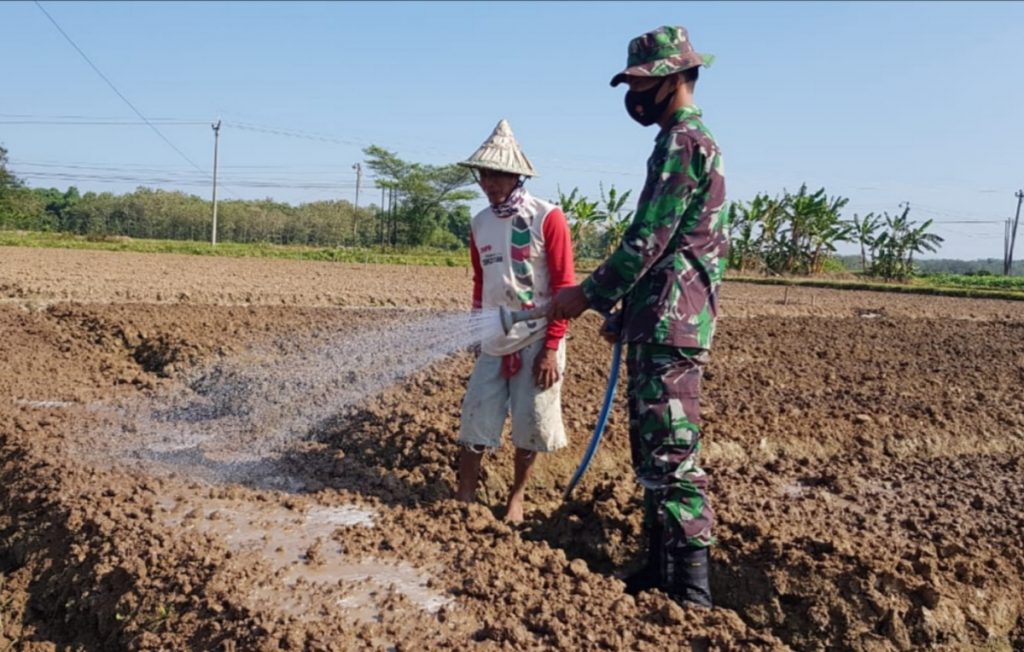 WhatsApp Image 2021-07-06 at 13.39.08