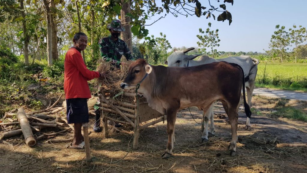 WhatsApp Image 2021-07-06 at 13.39.18