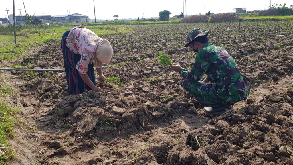 WhatsApp Image 2021-07-06 at 13.40.13