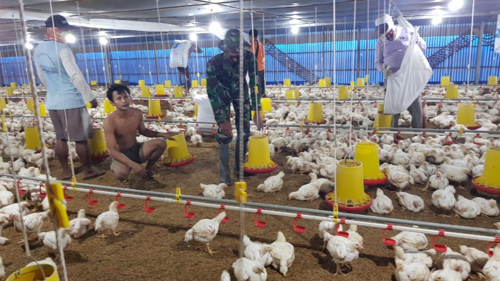 WhatsApp Image 2021-07-06 at 13.40.15