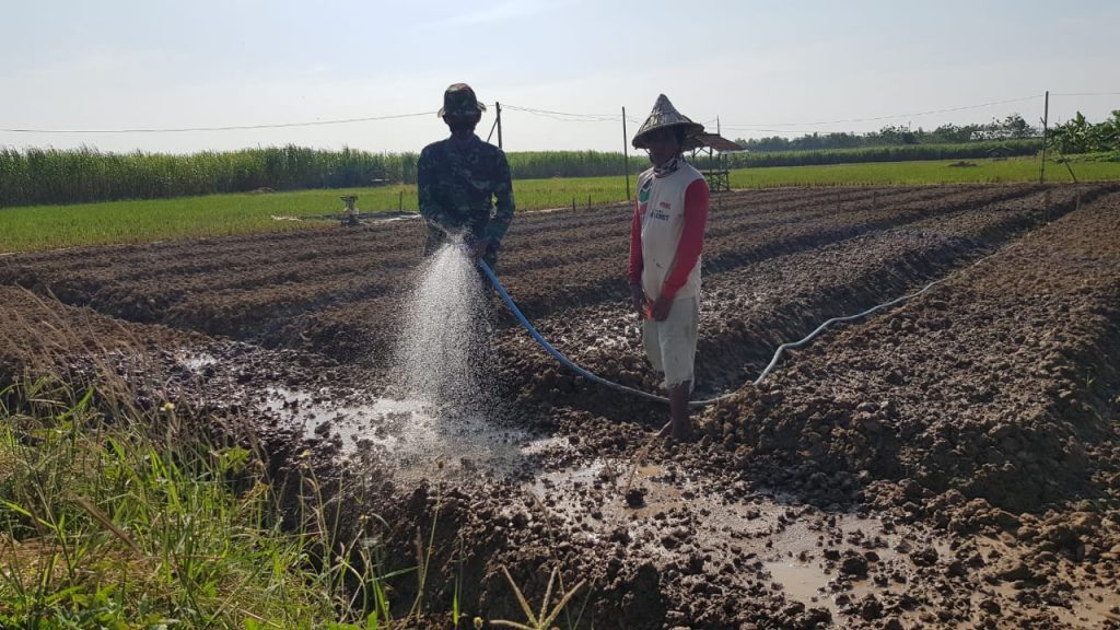 WhatsApp Image 2021-07-06 at 13.40.18