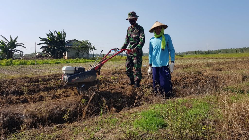 WhatsApp Image 2021-07-06 at 13.40.19