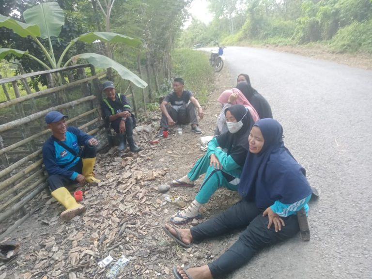 WhatsApp Image 2021-07-06 at 19.52.54